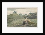 Walton-on-the-Hill - Cannock Chase by School English