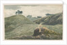 Walton-on-the-Hill - Cannock Chase by School English