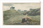 Walton-on-the-Hill - Cannock Chase by School English