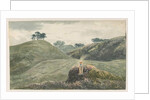 Walton-on-the-Hill - Cannock Chase by School English