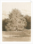 Wrottesley Hall - The Shrubbery: sepia drawing, 1820 by Cornelius Varley