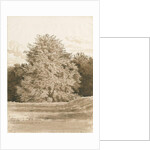 Wrottesley Hall - The Shrubbery: sepia drawing, 1820 by Cornelius Varley