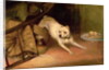 Dog Chasing a Rat by Briton Riviere