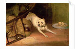 Dog Chasing a Rat by Briton Riviere