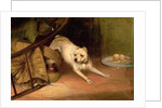 Dog Chasing a Rat by Briton Riviere