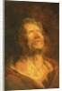 Peter the Apostle by Anthony van Dyck