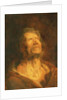 Peter the Apostle by Anthony van Dyck