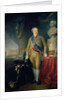 Portrait of Count Alexander Kurakin, 1802 by Vladimir Lukich Borovikovsky
