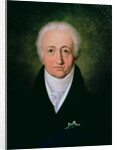 Portrait of Johann Wolfgang von Goethe, 1818 by Ferdinand Jagemann