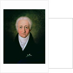 Portrait of Johann Wolfgang von Goethe, 1818 by Ferdinand Jagemann