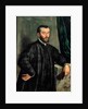 Portrait of Andrea Vesalius by Jan Stephen Calcar