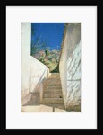 Steps in a Garden, Algeria, 1883 by Pavel Aleksandrovich Bryullov