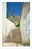 Steps in a Garden, Algeria, 1883 by Pavel Aleksandrovich Bryullov