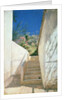Steps in a Garden, Algeria, 1883 by Pavel Aleksandrovich Bryullov