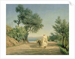 The Road to the Sea, Algeria, 1883 by Pavel Aleksandrovich Bryullov