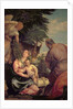 Rest on the Flight into Egypt by Veronese
