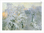Trees in Wintry Silver, 1910 by Konstantin Ivanovich Gorbatov