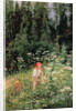 Girl among the wild flowers, 1880 by Olga Antonova Lagoda-Shishkina