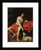 John the Baptist by Nicholas Renieri