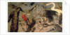 The Bird's Concert by Frans Snyders or Snijders