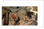The Bird's Concert by Frans Snyders or Snijders