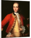 Portrait of Matvey Begichev, 1757 by Ivan Yakovlevich Vishnyakov