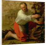 Vine Grower, 1628 by Jacob Gerritsz Cuyp