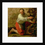 Vine Grower, 1628 by Jacob Gerritsz Cuyp