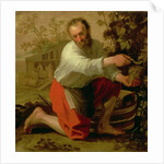 Vine Grower, 1628 by Jacob Gerritsz Cuyp