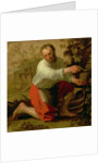 Vine Grower, 1628 by Jacob Gerritsz Cuyp