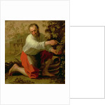 Vine Grower, 1628 by Jacob Gerritsz Cuyp