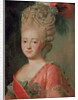 Portrait of Empress Maria Fyodorina, 1770s by Alexander Roslin
