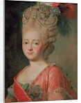Portrait of Empress Maria Fyodorina, 1770s by Alexander Roslin