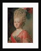 Portrait of Empress Maria Fyodorina, 1770s by Alexander Roslin