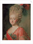 Portrait of Empress Maria Fyodorina, 1770s by Alexander Roslin