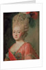 Portrait of Empress Maria Fyodorina, 1770s by Alexander Roslin