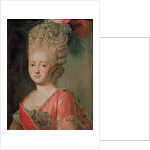 Portrait of Empress Maria Fyodorina, 1770s by Alexander Roslin
