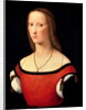 Portrait of a Woman, 1500s by Lorenzo Costa
