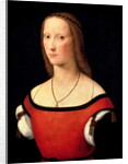Portrait of a Woman, 1500s by Lorenzo Costa