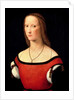 Portrait of a Woman, 1500s by Lorenzo Costa