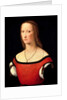 Portrait of a Woman, 1500s by Lorenzo Costa