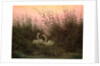 Swans in the Reeds, c.1820 by Caspar David Friedrich