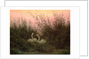 Swans in the Reeds, c.1820 by Caspar David Friedrich