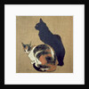 Deux chats, 1894 by Theophile Alexandre Steinlen