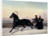 Emperor Nicholas I Driving in a Sleigh by Nikolai Egorevich Sverchkov