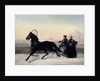Emperor Nicholas I Driving in a Sleigh by Nikolai Egorevich Sverchkov