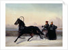 Emperor Nicholas I Driving in a Sleigh by Nikolai Egorevich Sverchkov