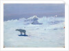 A Polar Bear Hunting in Moonlit Night, 1899 by Aleksandr Alekseevich Borisov