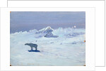 A Polar Bear Hunting in Moonlit Night, 1899 by Aleksandr Alekseevich Borisov
