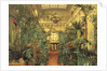 Winter Garden in the Winter Palace, St. Petersburg, 1840 by Michail Ivanovich Antonov